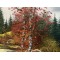 Autumn Scene by Roy R. Ca